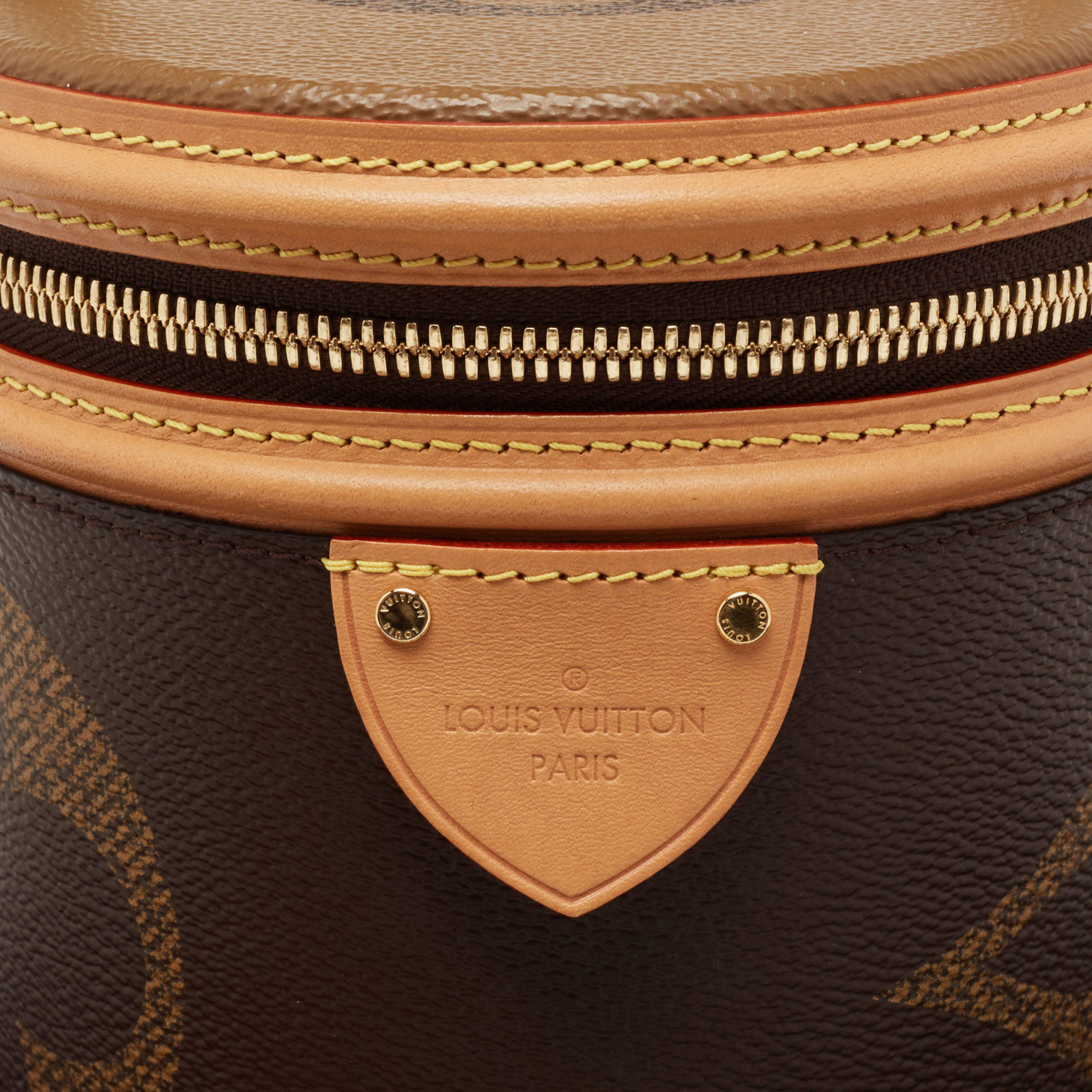 Louis Vuitton Monogram Giant Cannes Hand Bag - Brown