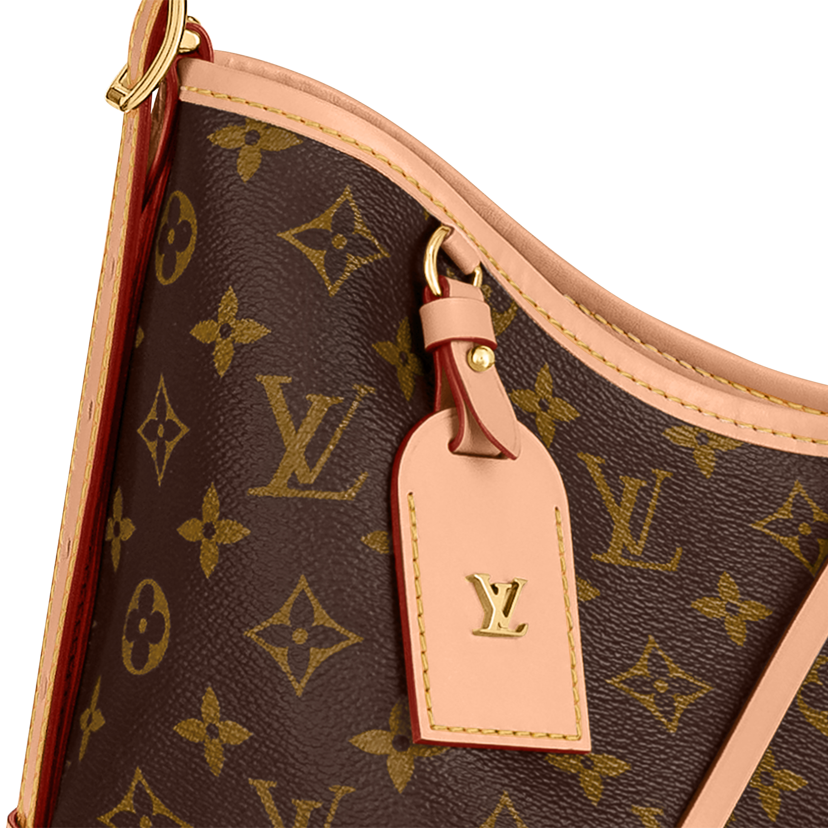 Louis Vuitton CarryAll MM Handbag - Brown