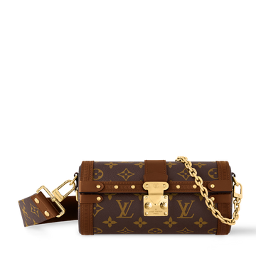 Louis Vuitton Monogram Coated Canvas Papillon Trunk Bag – Brown